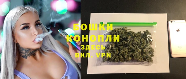 не бодяженный Ладушкин
