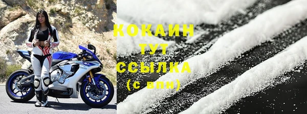 хмурый Кукмор