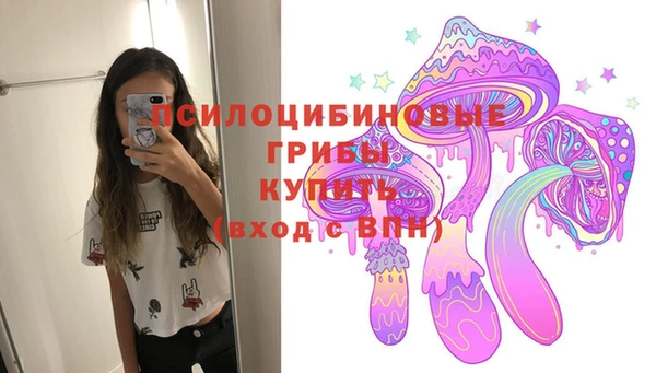 эйфоретик Кулебаки