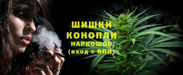 не бодяженный Ладушкин