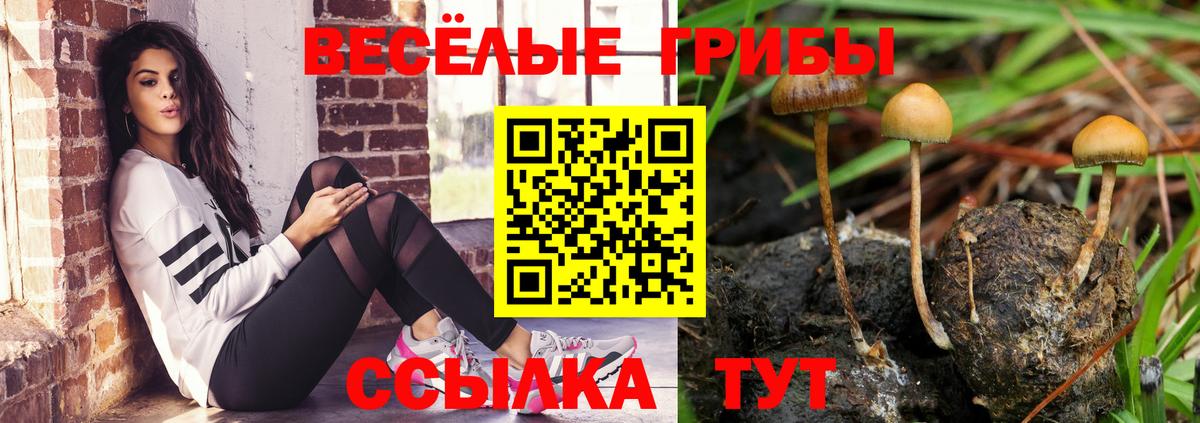 Галлюциногенные грибы прущие грибы  Вход с VPN  Псилоцибиновые грибы прущие грибы  Сухой Лог 