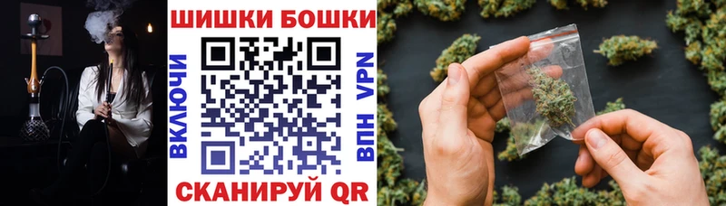 где купить   Сухой Лог  mega сайт  Бошки марихуана конопля 